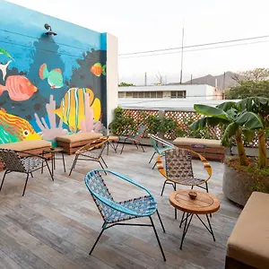 Distrito Hostel 호스텔 산타마르타